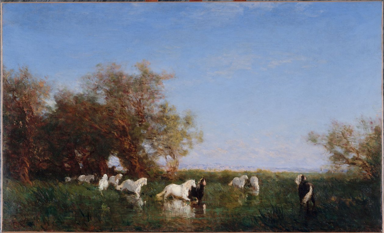 Chevaux sauvages en Camargue, entre 1890 et 1895 - Félix Ziem