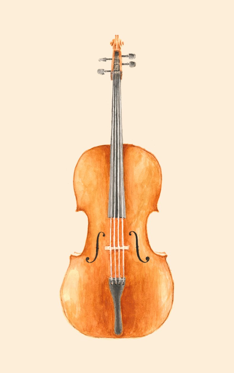 Violoncelle - Florent Bodart