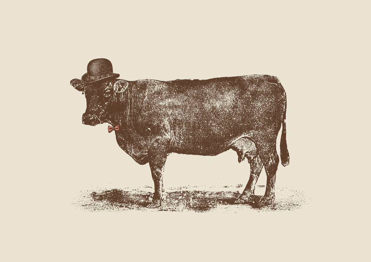 Noix de vache - Florent Bodart