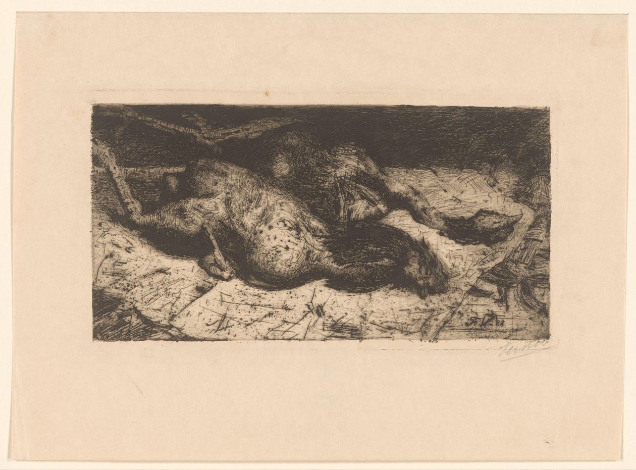 Poulets plumés - Floris Verster (signed by artist)