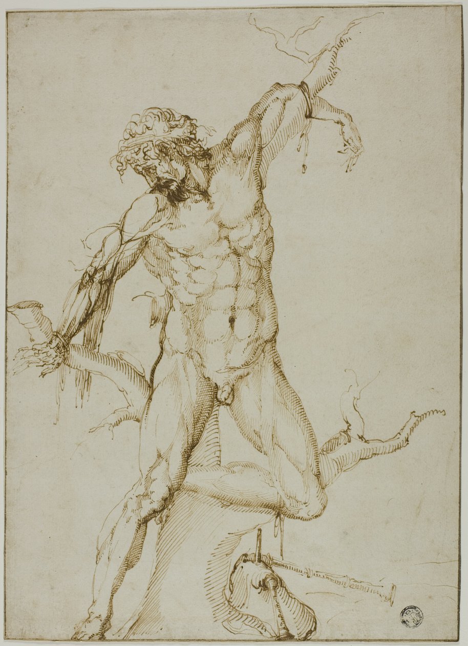 Marsyas attaché à un arbre - Follower of Baccio Bandinelli
