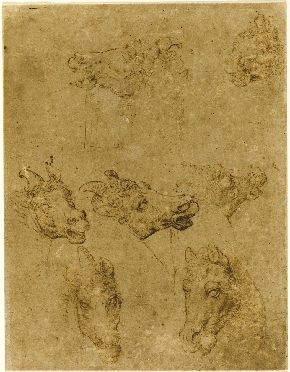 Têtes de chevaux et de licornes - Follower of Leonardo da Vinci