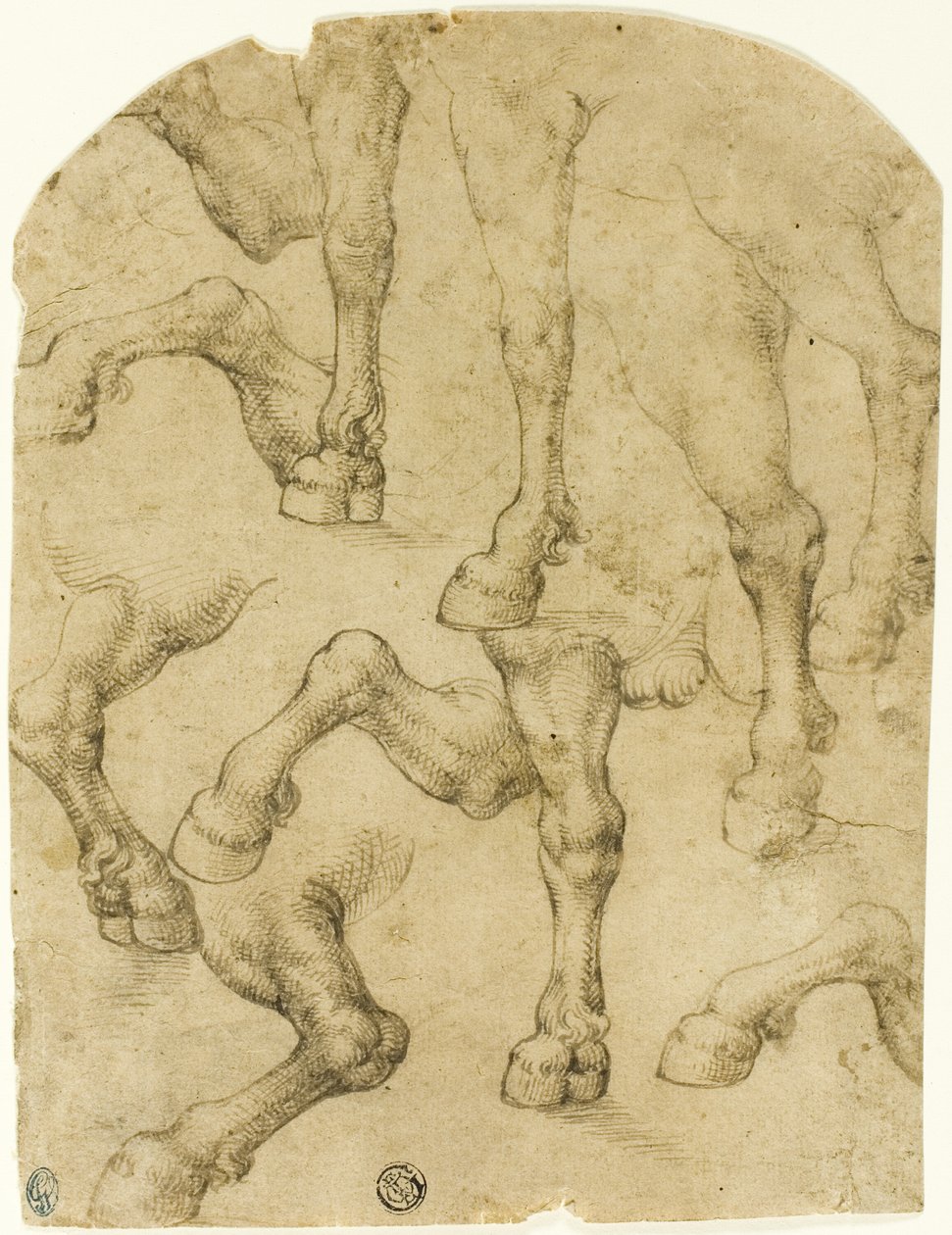 Esquisses de jambes de chevaux (ou dromadaires) (recto) ; colonnes (verso) - Follower of Leonardo da Vinci