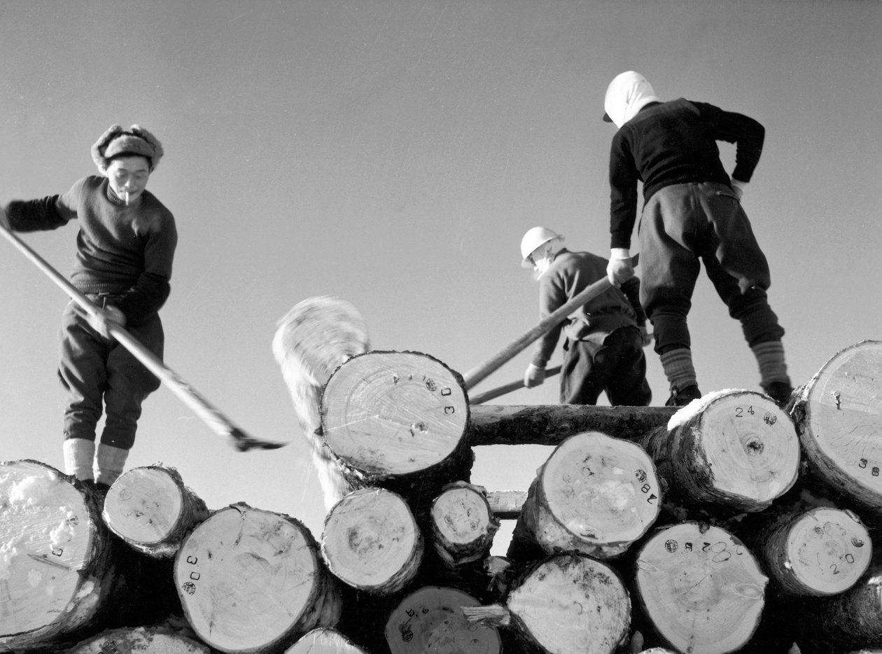 Coupeurs de bois au travail - Fosco Maraini