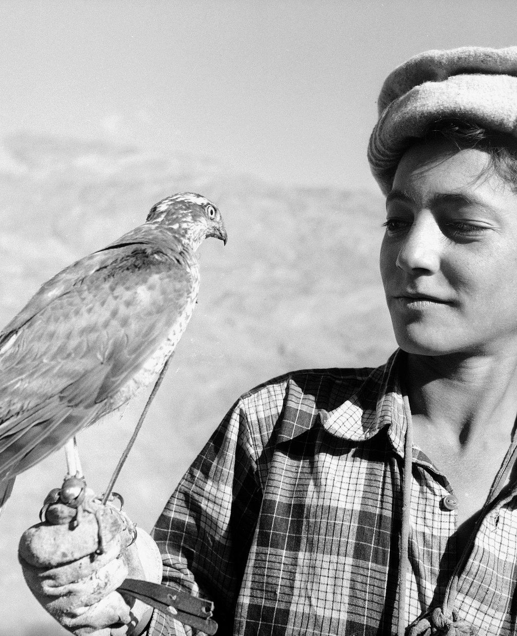 Jeune fauconnier de Chitral sur l