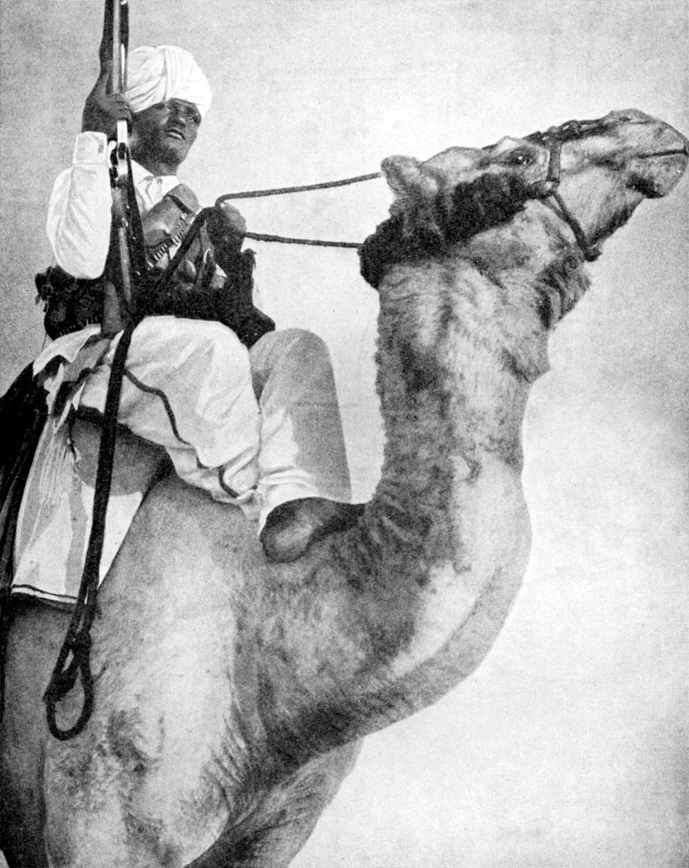 Guerrier du désert d