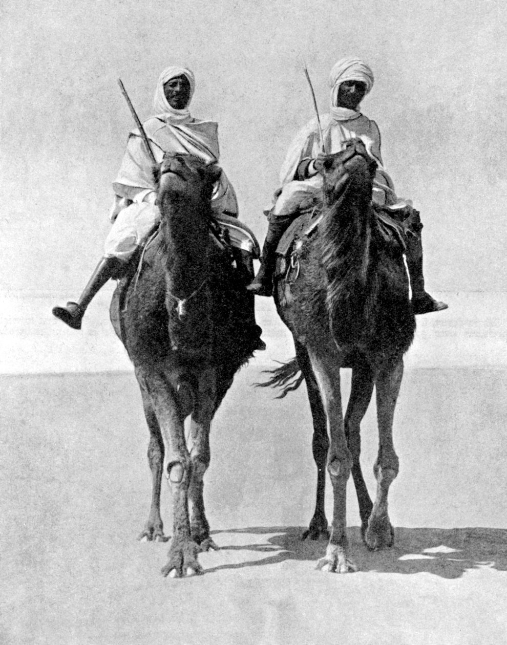 Deux Arabes à dos de chameaux dans le désert du Sahara, Afrique, 1936 - Fox Photos