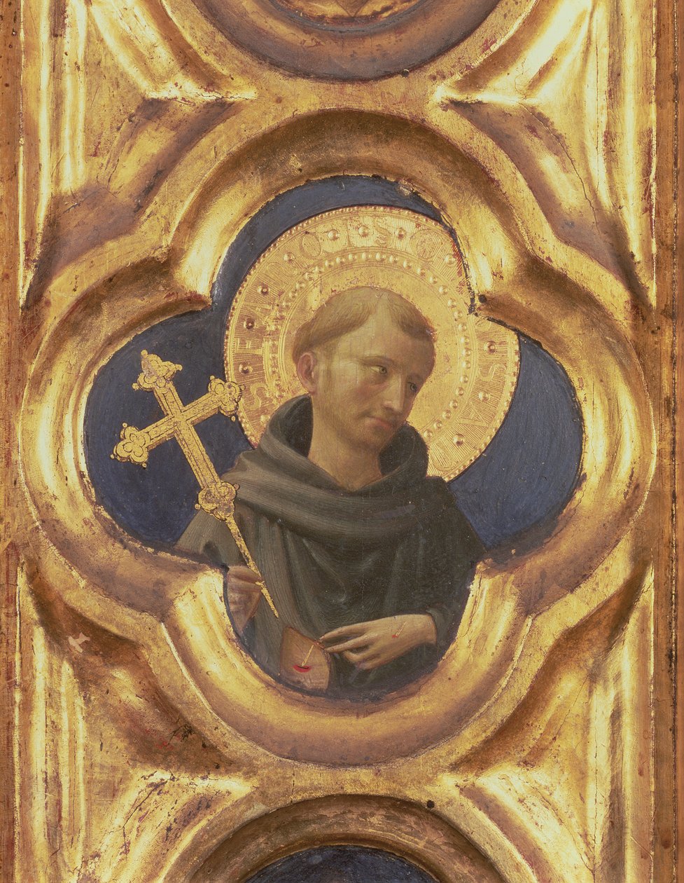 Retable de Santa Trinita, détail de la tête de Saint François, c.1434 tempera et or sur panneau - Fra Angelico