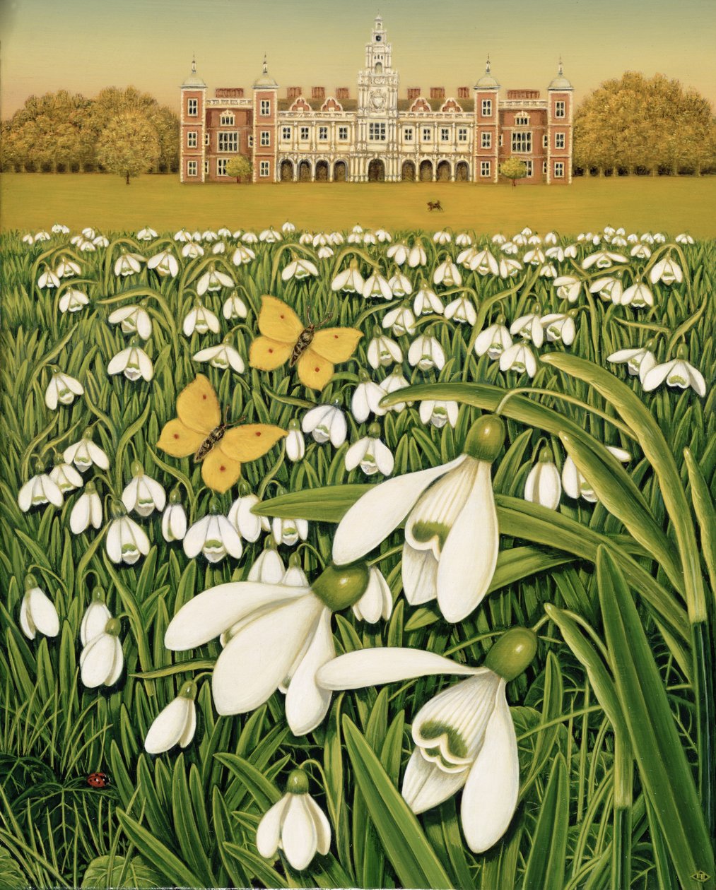 Jour de perce-neige, Hatfield House - Frances Broomfield