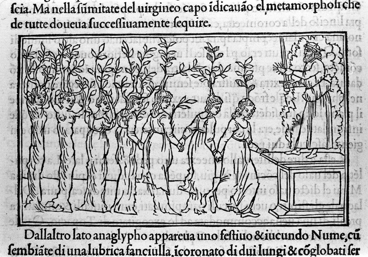 Gravure dans "Hypnerotomachia Polyphili" (le rêve de Poliphile) par le moine dominicain Francesco Colonna, Venise - Francesco Colonna