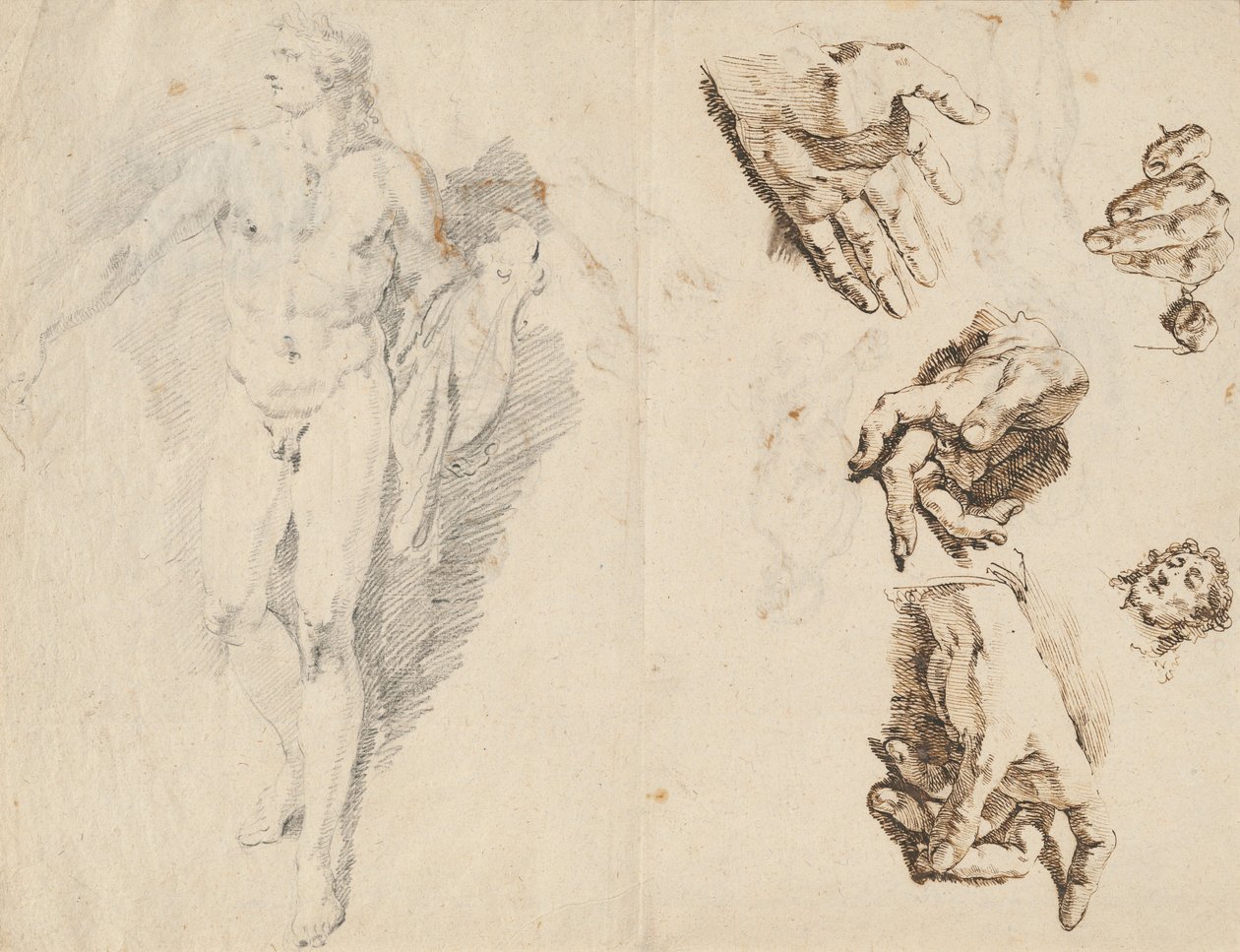 Apollon et études de la main de l