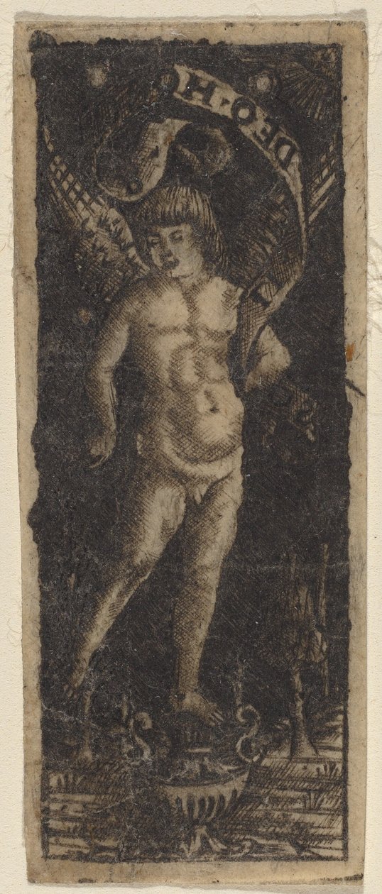Chérubin sur un vase avec inscription : "SOLI DEO HONOR" - Francesco Francia or Peregrino da Cesena