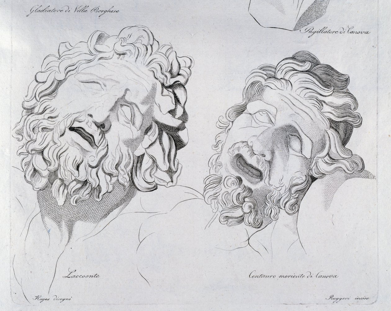Têtes de Laocoon et Centaure mourant par Canova - Francesco Hayez