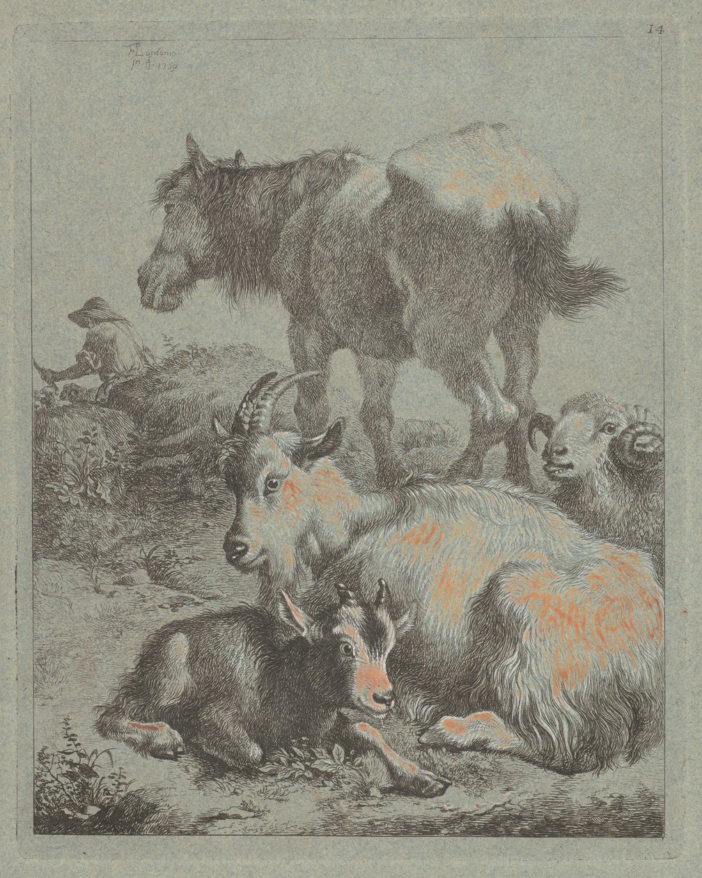 Cheval, bélier, chèvre avec chevreau; au loin un berger avec troupeau - Francesco Londonio
