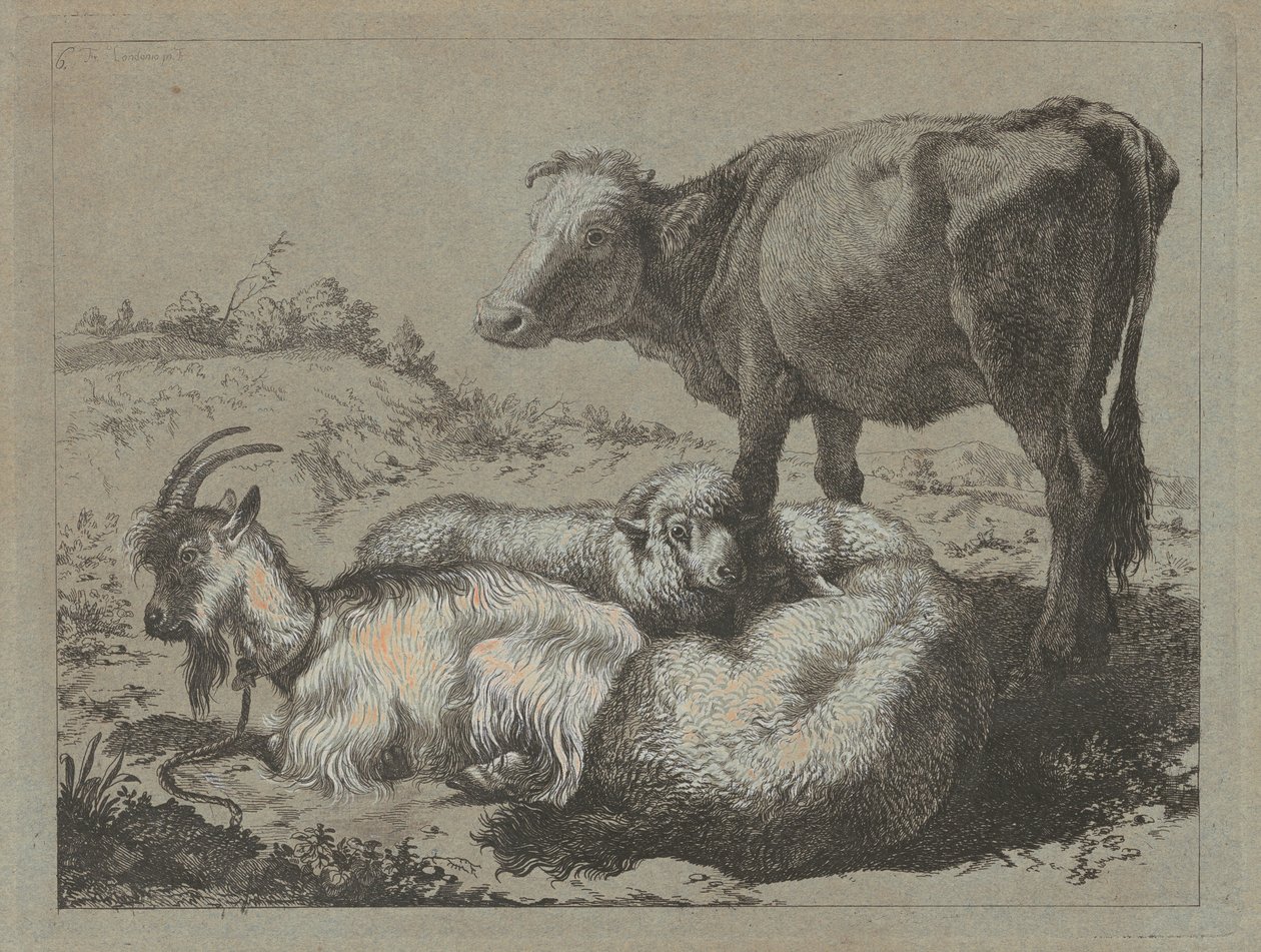 Bœuf debout, deux moutons et une chèvre - Francesco Londonio