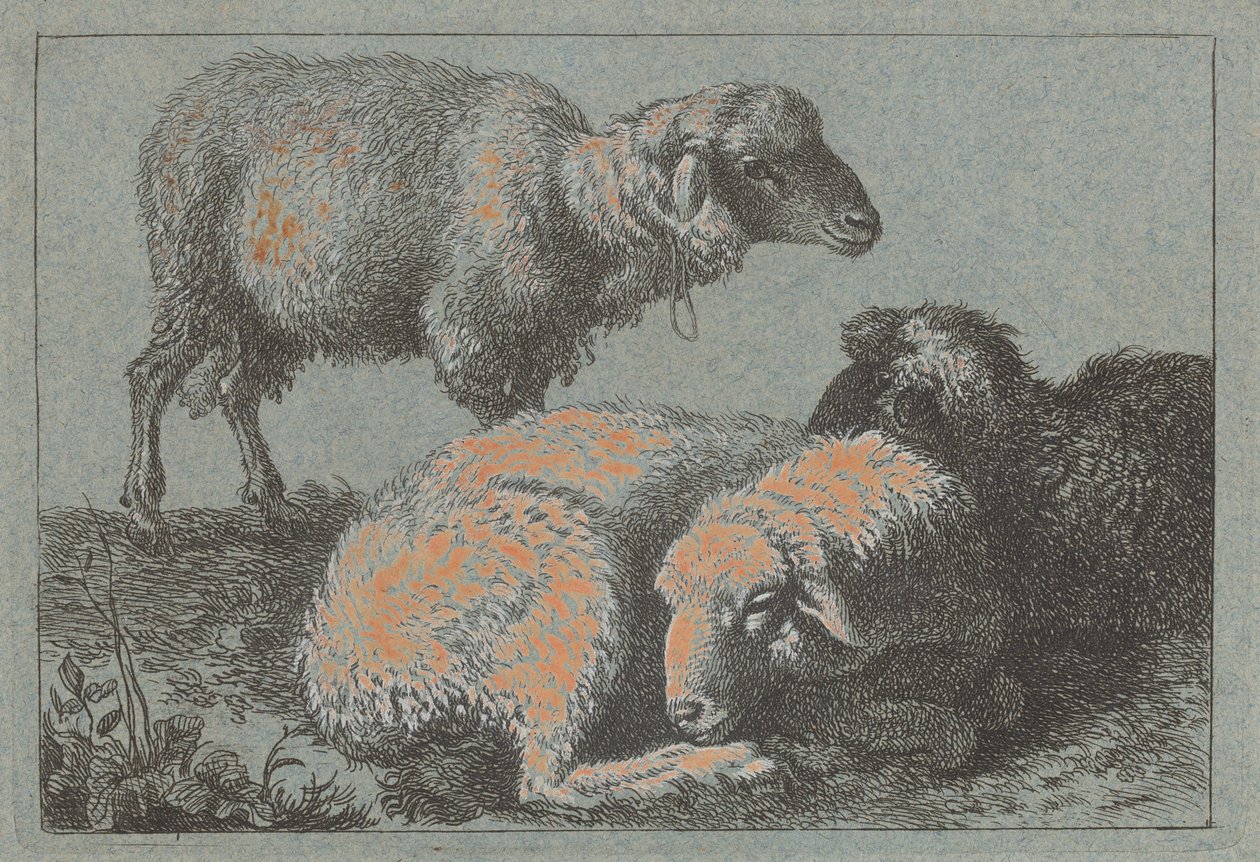 Deux Moutons Couchés et Un Mouton Debout - Francesco Londonio