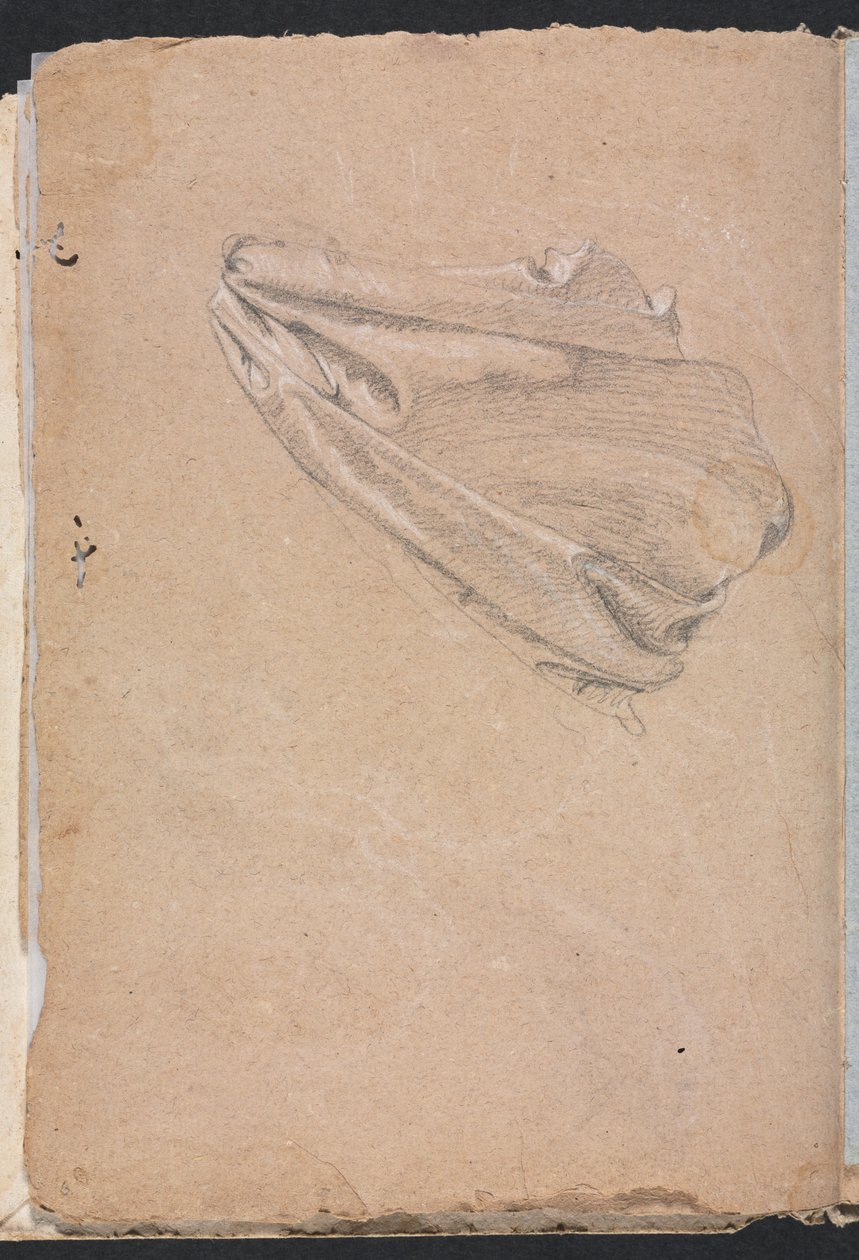 Carnet de croquis de Vérone : Étude de draperie page 6, 1760 - Francesco Lorenzi
