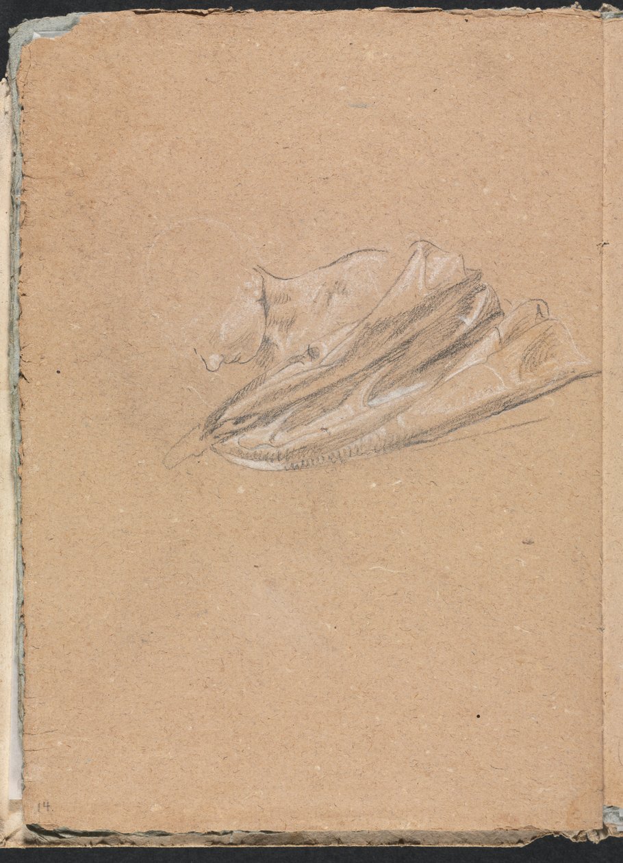 Carnet de croquis de Vérone : Tête et épaule avec draperie, page 14, 1760 - Francesco Lorenzi