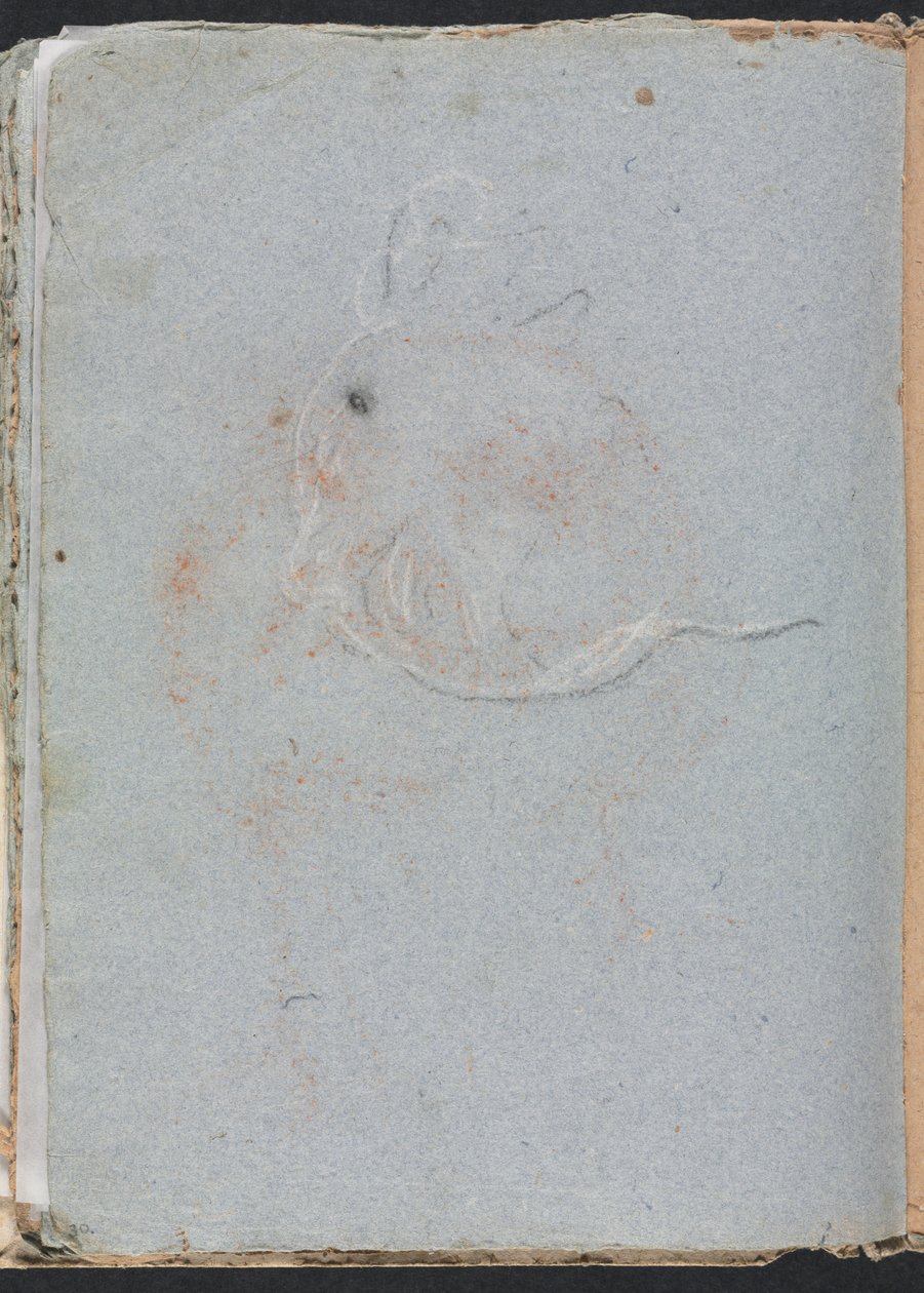 Carnet de croquis de Vérone : Tête page 30, 1760 - Francesco Lorenzi