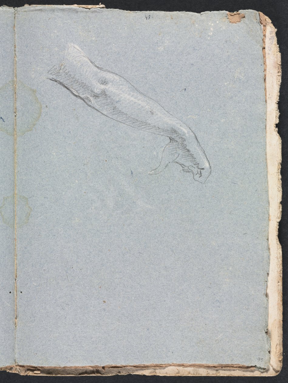 Carnet de croquis de Vérone : bras droit et main page 95, 1760 - Francesco Lorenzi