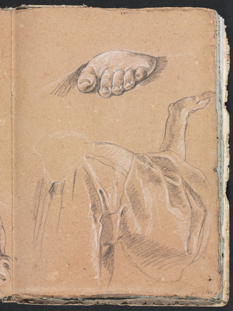 Carnet de croquis de Vérone : Étude d