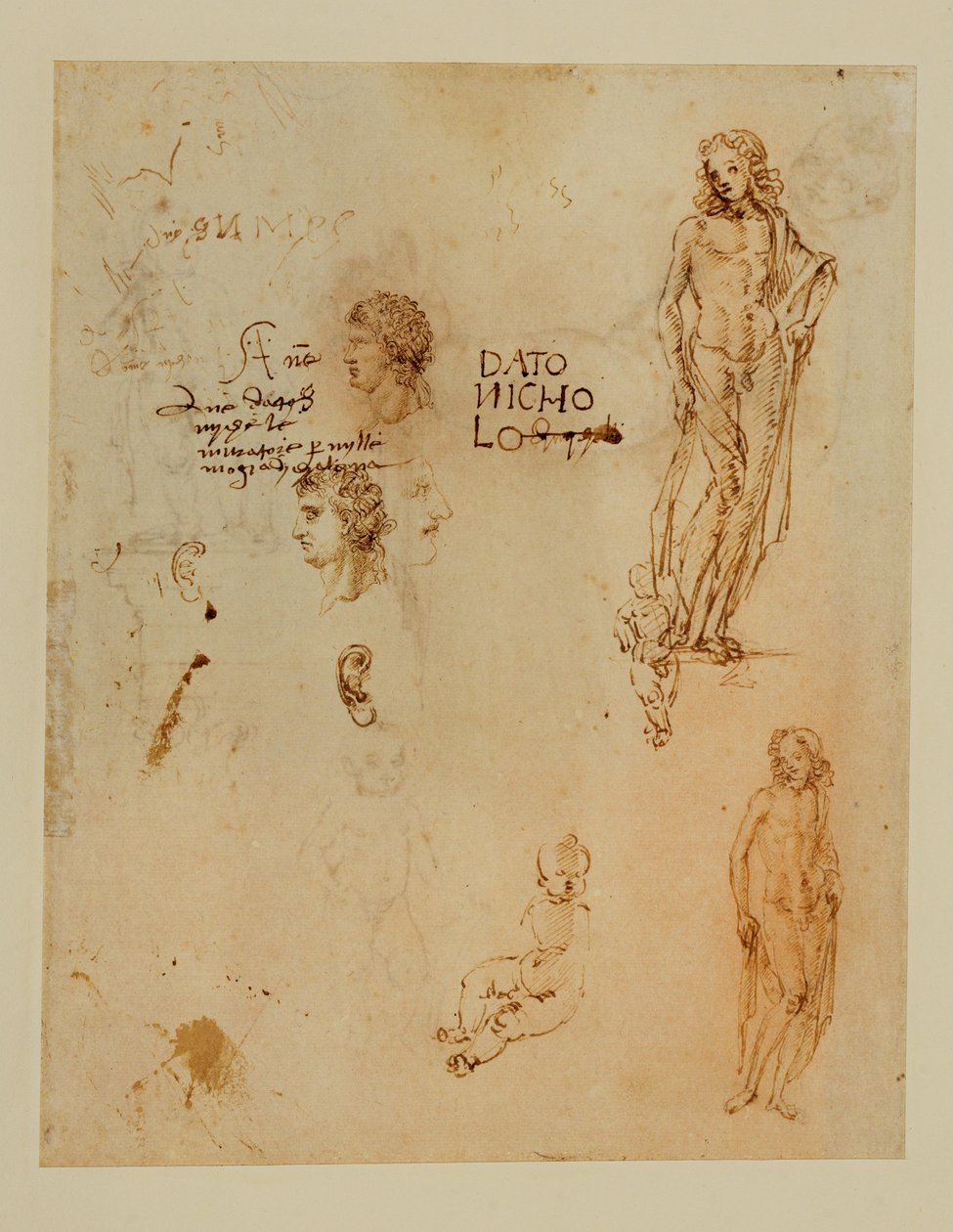 Trois profils ; des oreilles ; deux Apollos ... - Francesco di Simone (attr. to)