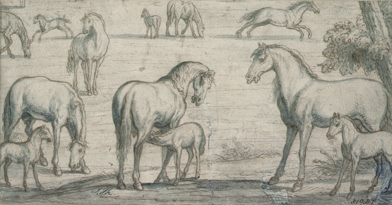Juments et poulains, 17ème siècle - Francis Barlow
