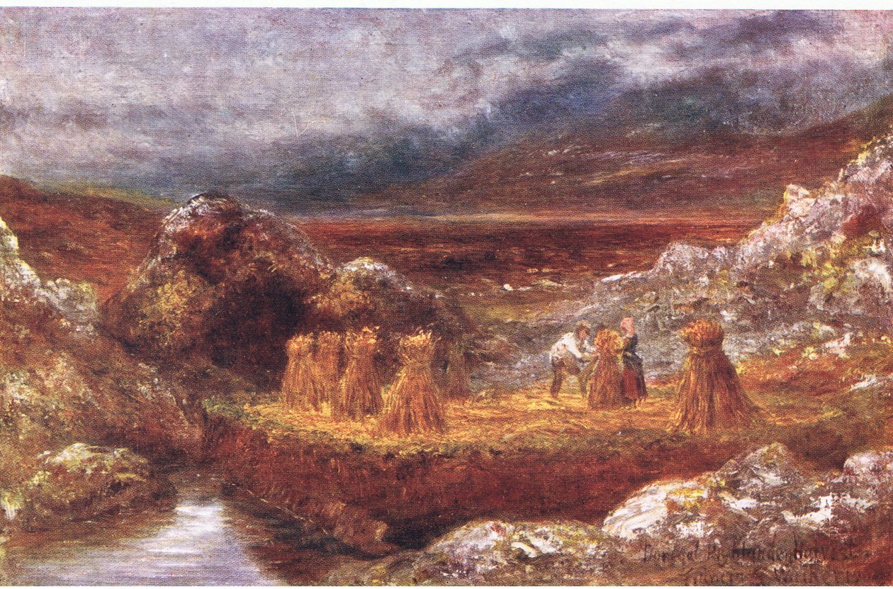 Une récolte à Donegal, de Regards sur de Nombreux Pays: Irlande publié par Adams & Charles, 1909 - Francis S. Walker