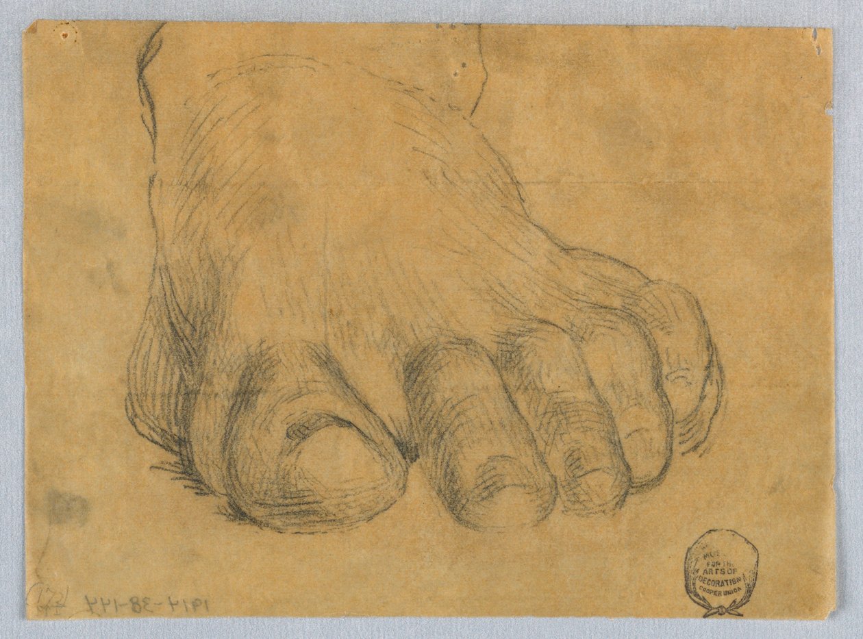 Étude du pied gauche - Francis Augustus Lathrop