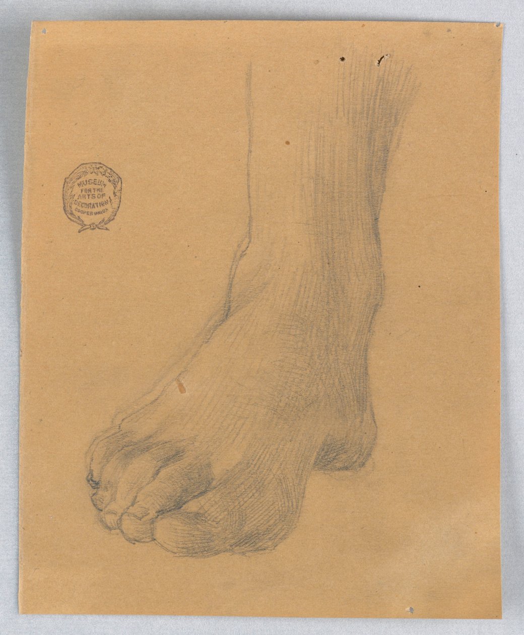 Étude du Pied Droit - Francis Augustus Lathrop