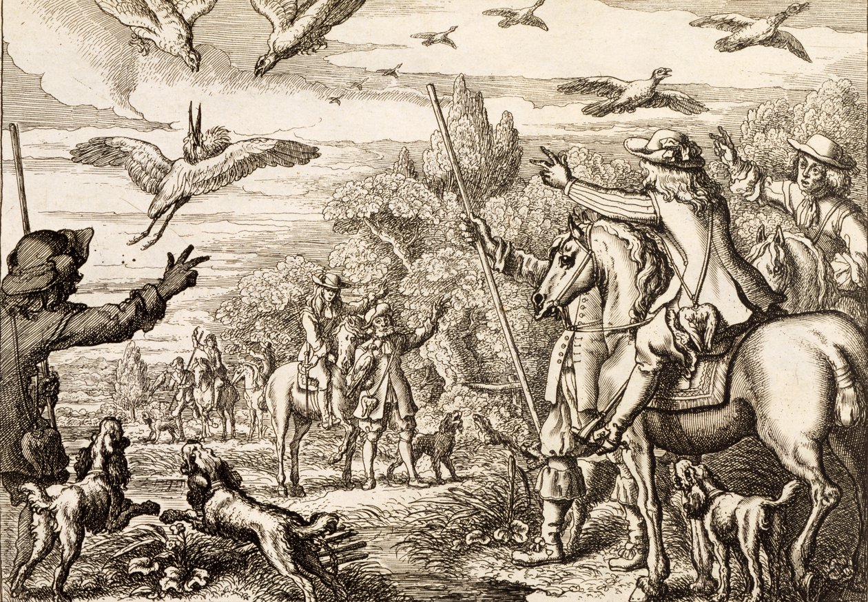 Fauconnerie de héron, gravée par Wenceslaus Hollar, 1671 - Francis Barlow