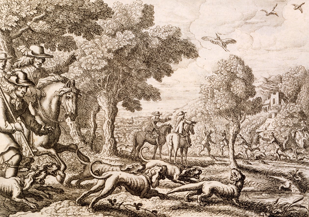 Chasse à la loutre près d