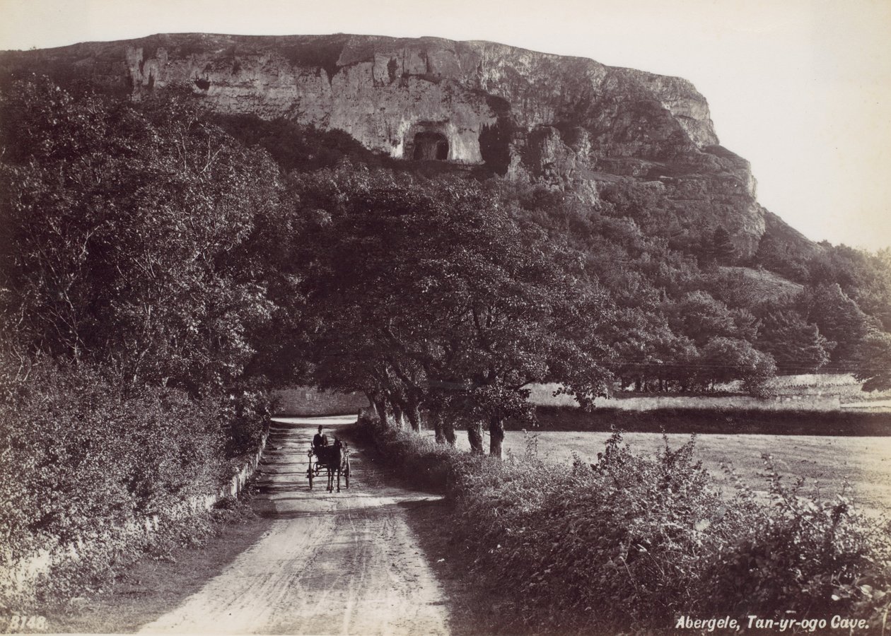 Abergele, grotte de Tan-yr-ogo - Francis Bedford
