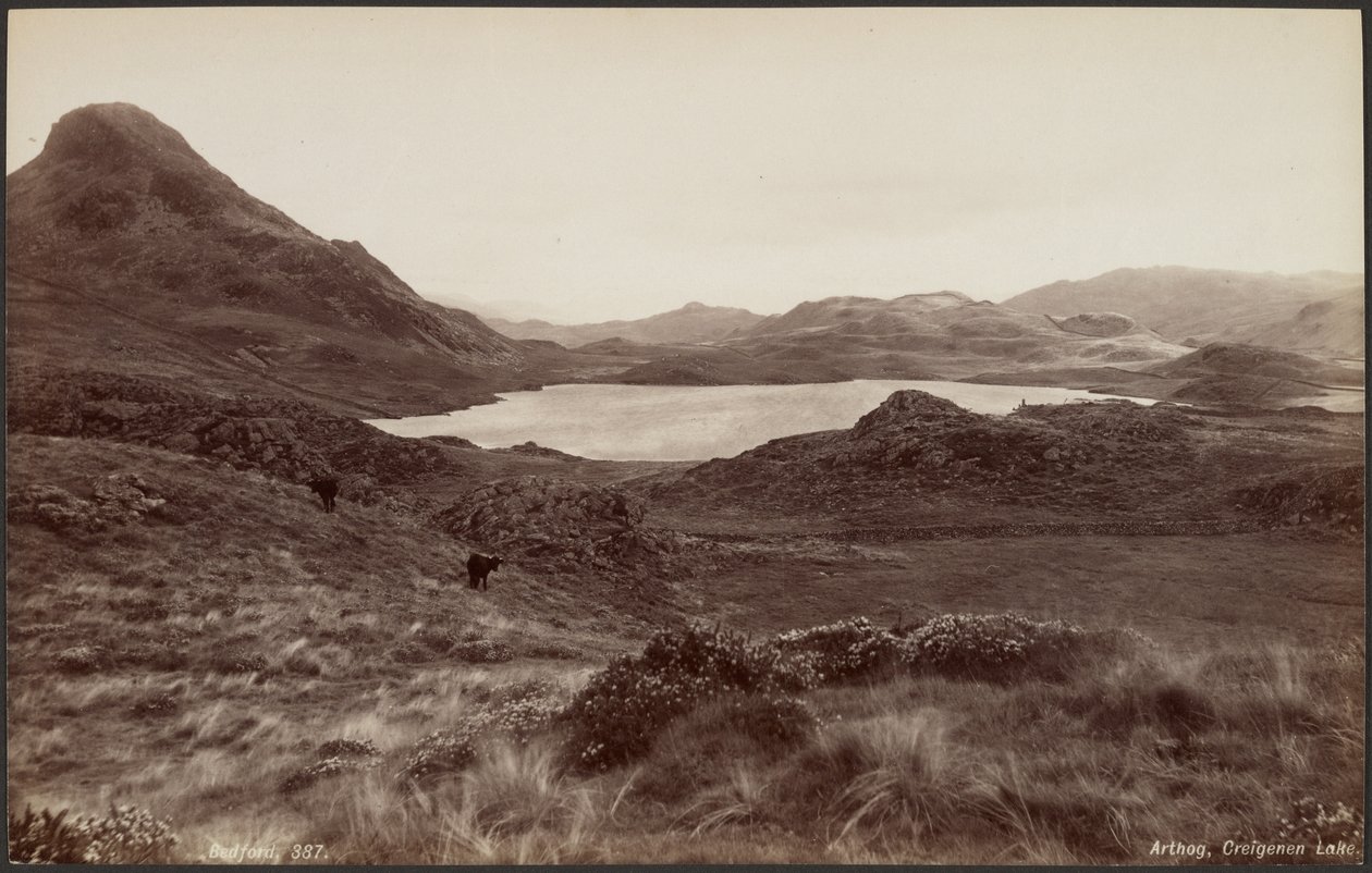 Arthog, lac Creigenen - Francis Bedford