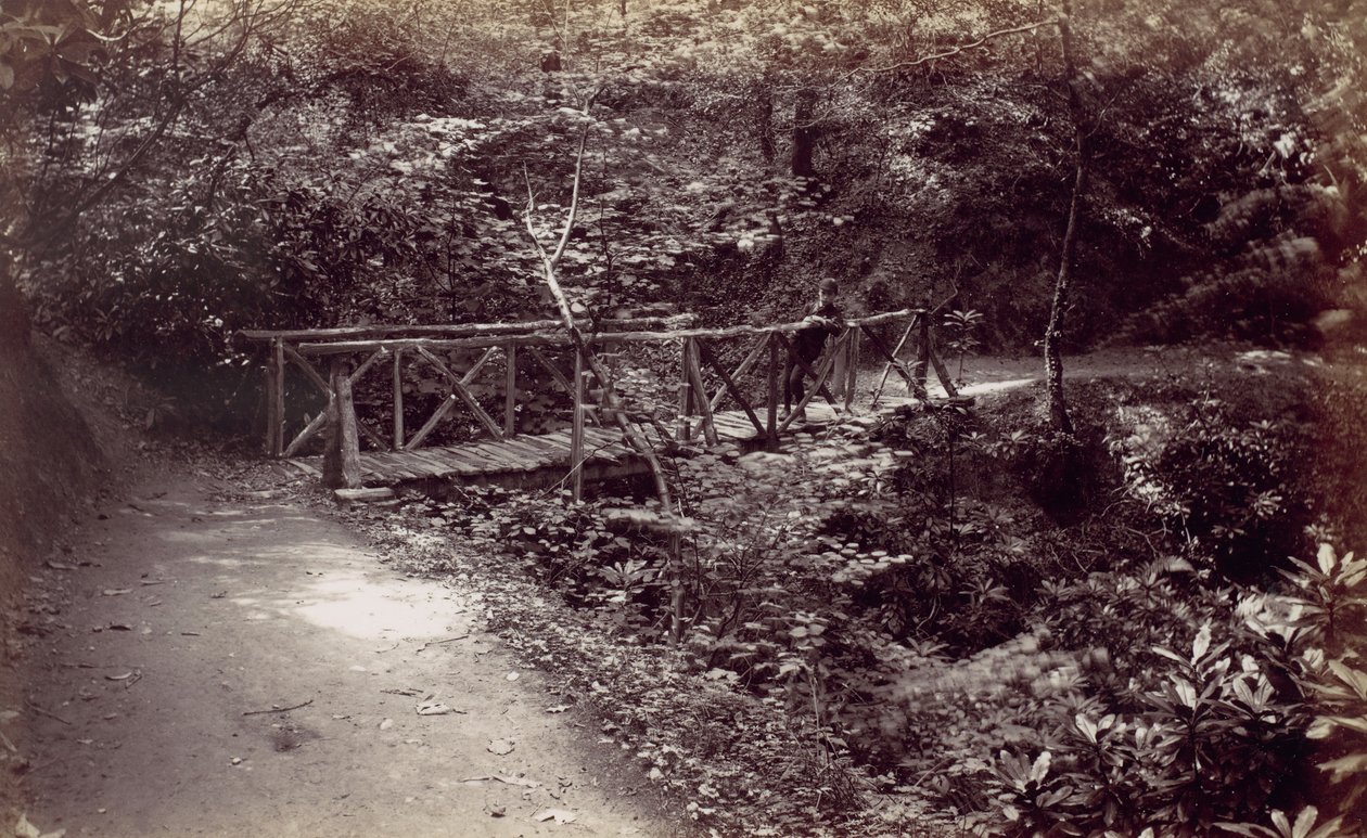 Colwyn Bay. Pont Rustique dans le Bois, 1870s - Francis Bedford