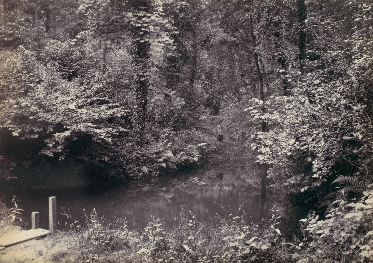 Colwyn Bay. La piscine dans le bois - Francis Bedford