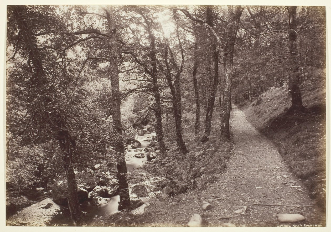 Dolgelley, Vue dans Torrent Walk - Francis Bedford