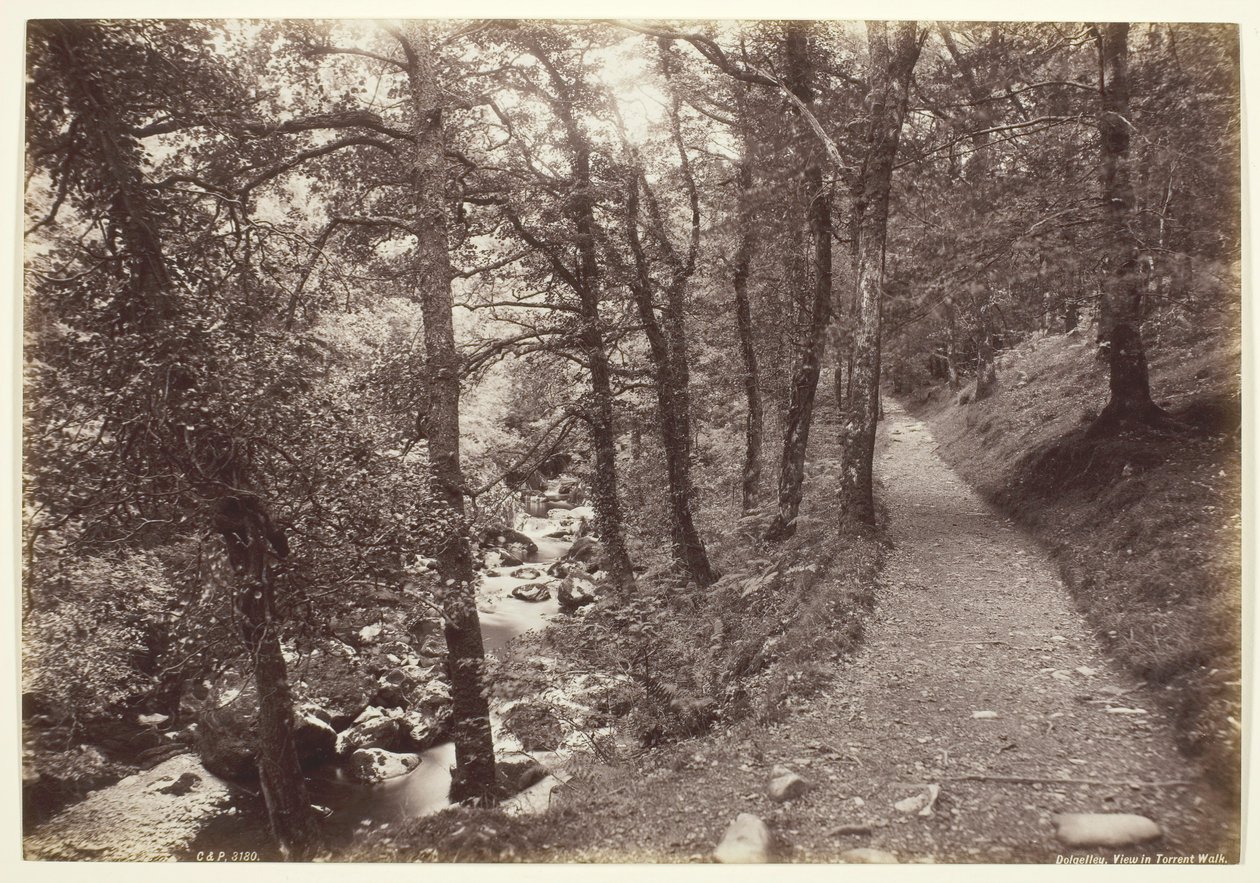 Dolgelley, Vue dans Torrent Walk - Francis Bedford