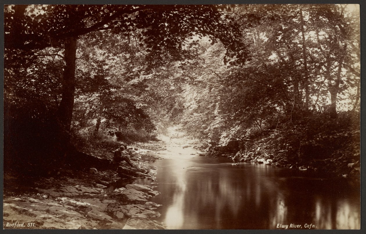 Rivière Elwy, Cefn - Francis Bedford