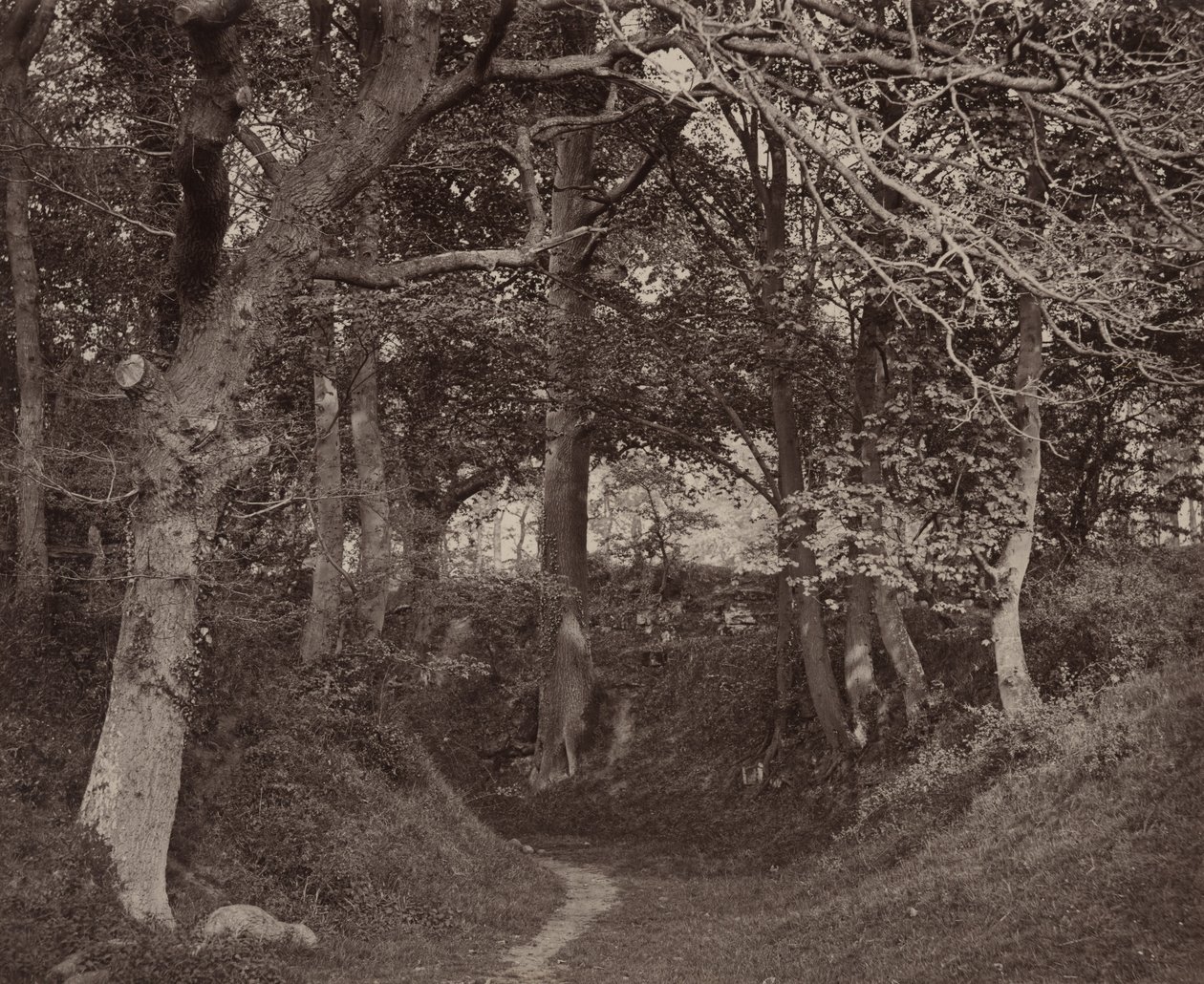 Glen Kenilworth - Francis Bedford