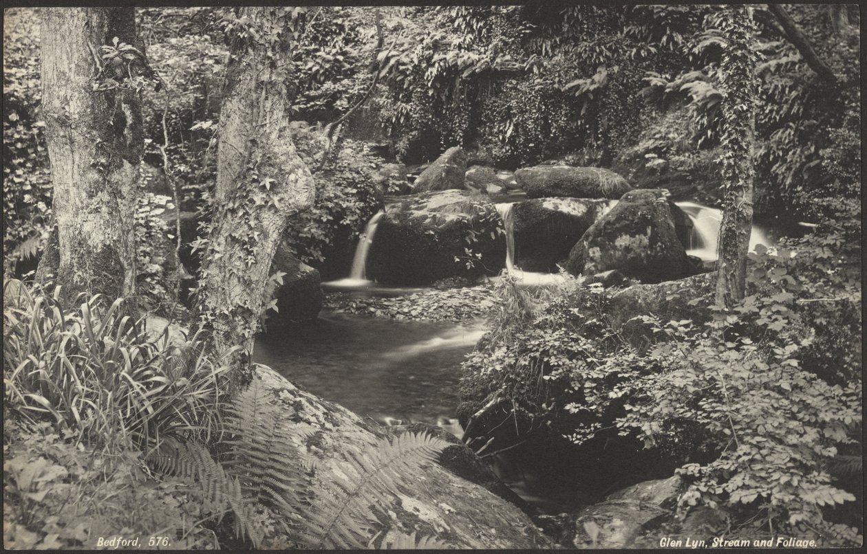 Glen Lyn, ruisseau et feuillage - Francis Bedford