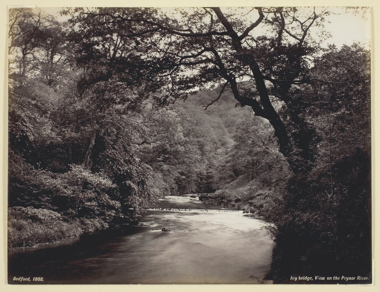 Pont de lierre, vue sur la rivière Prysor - Francis Bedford