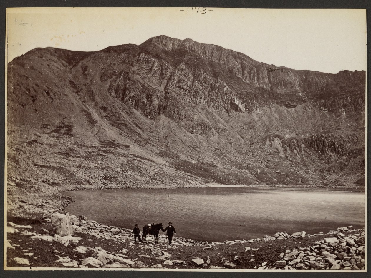 [Hommes et chevaux au bord d