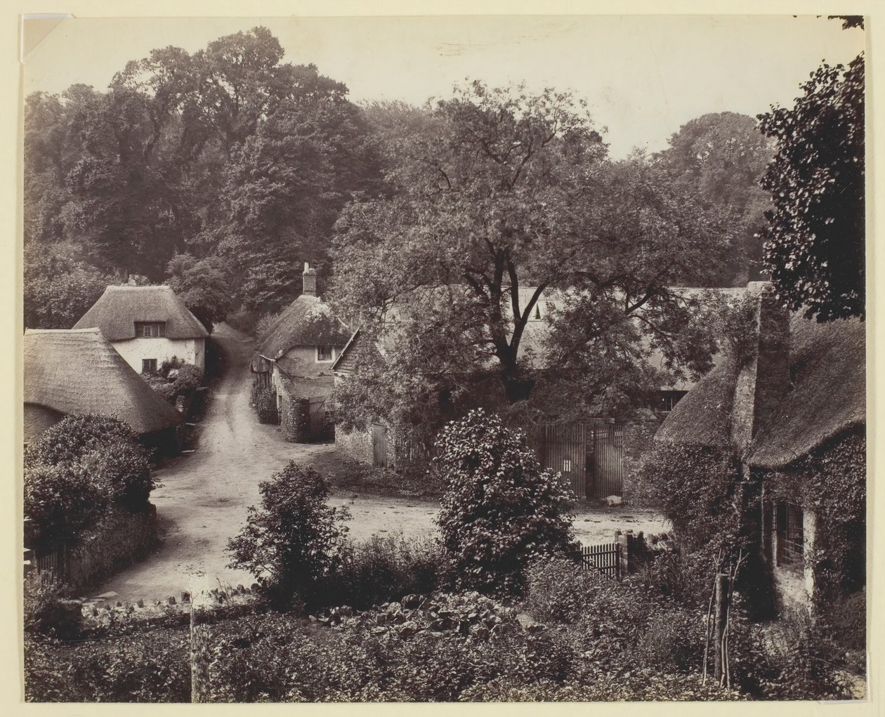 Sans titre [cottages au toit de chaume], 1860-94 - Francis Bedford