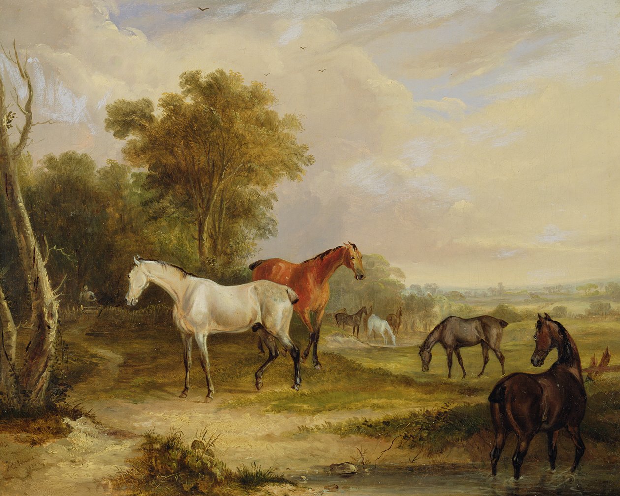 Chevaux paissant : un étalon gris paissant avec des juments dans un pré - Francis Calcraft Turner