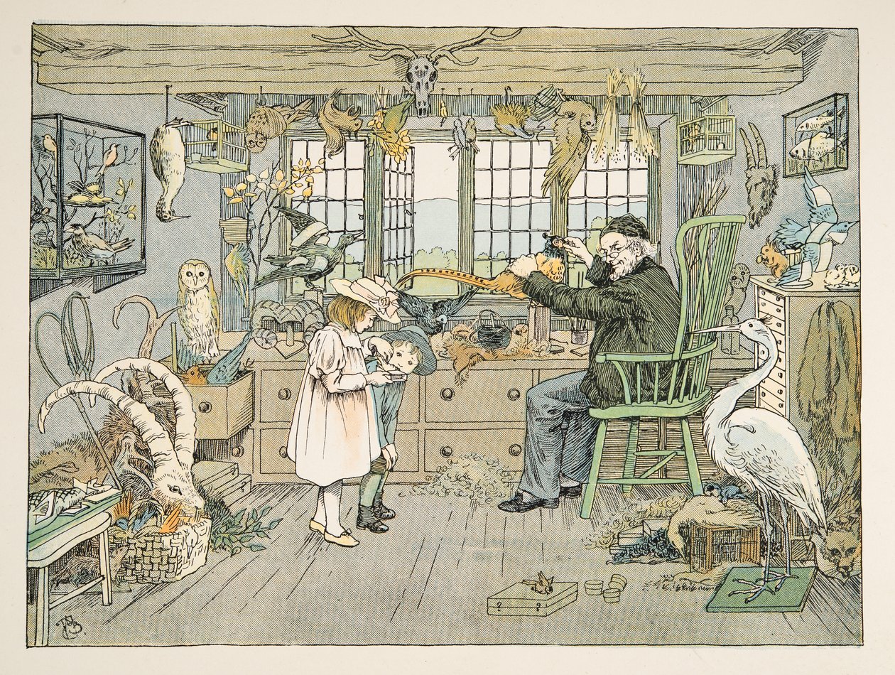 The Bird Stuffer, tiré de Four and Twenty Toilers, pub. 1900 (lithographie couleur) - Francis Donkin Bedford
