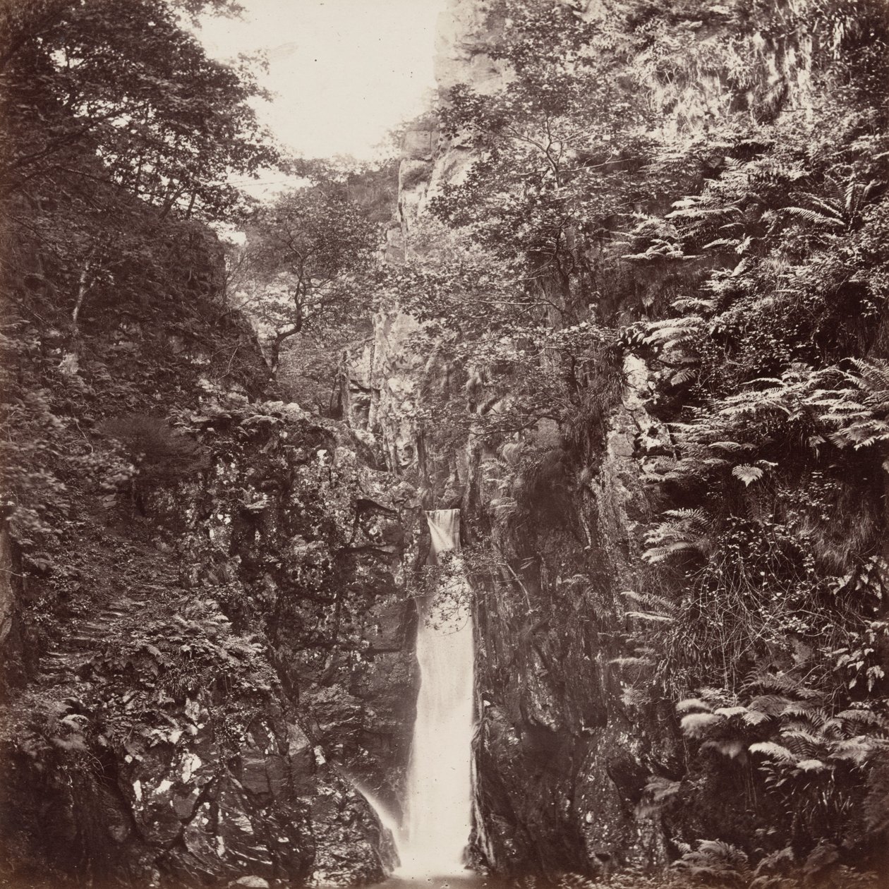 Chute de Dalegarth, Cumberland - Francis Frith