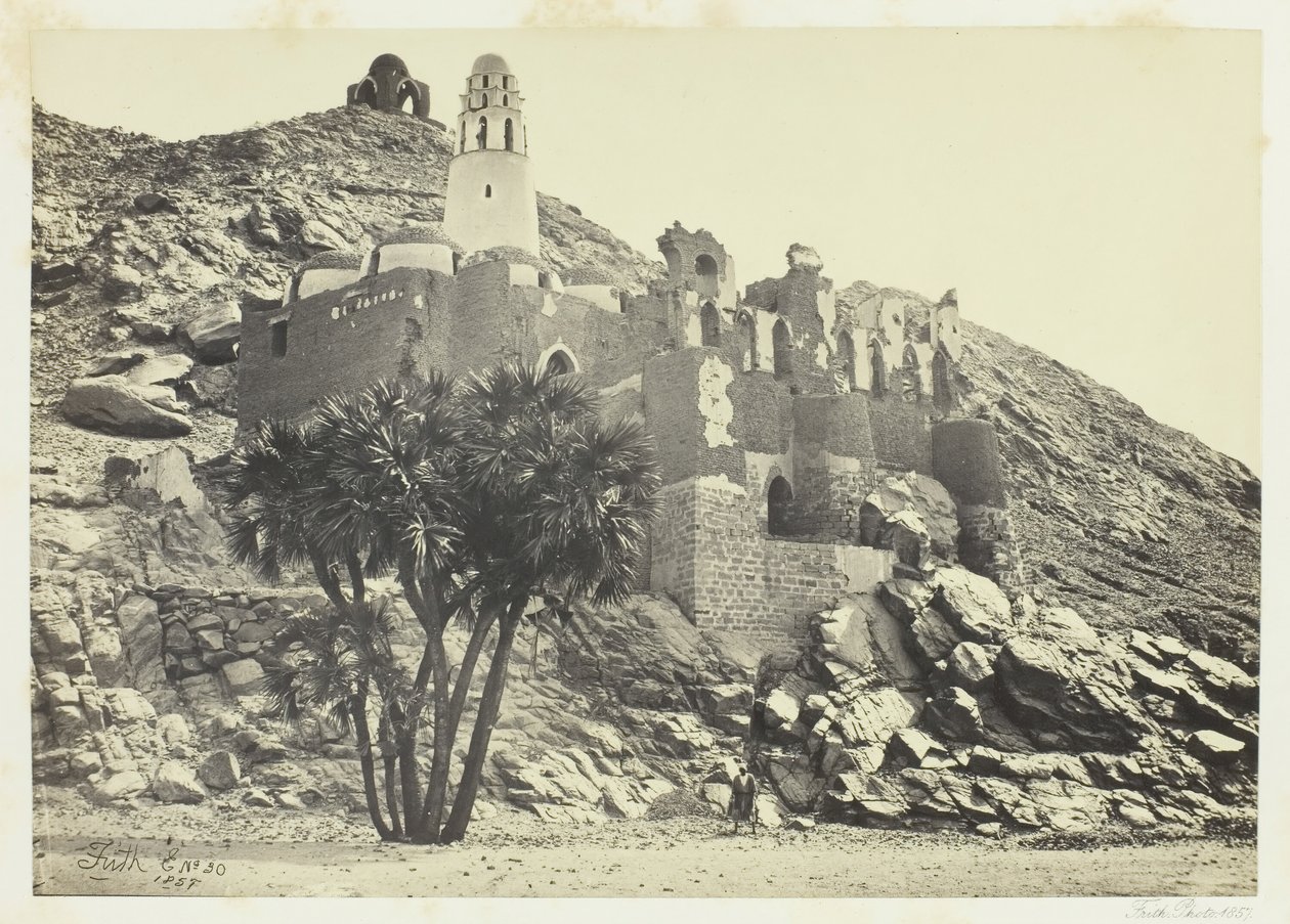 Palmier Doum et mosquée en ruine, Philæ - Francis Frith