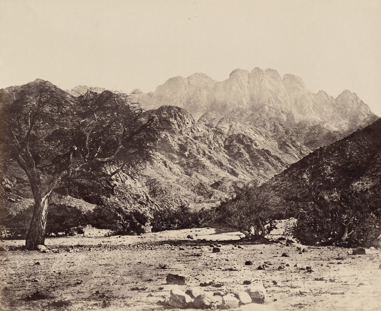 Mont Serbal, depuis le Wádee Feyrán, Égypte, 1858 (photo) - Francis Frith