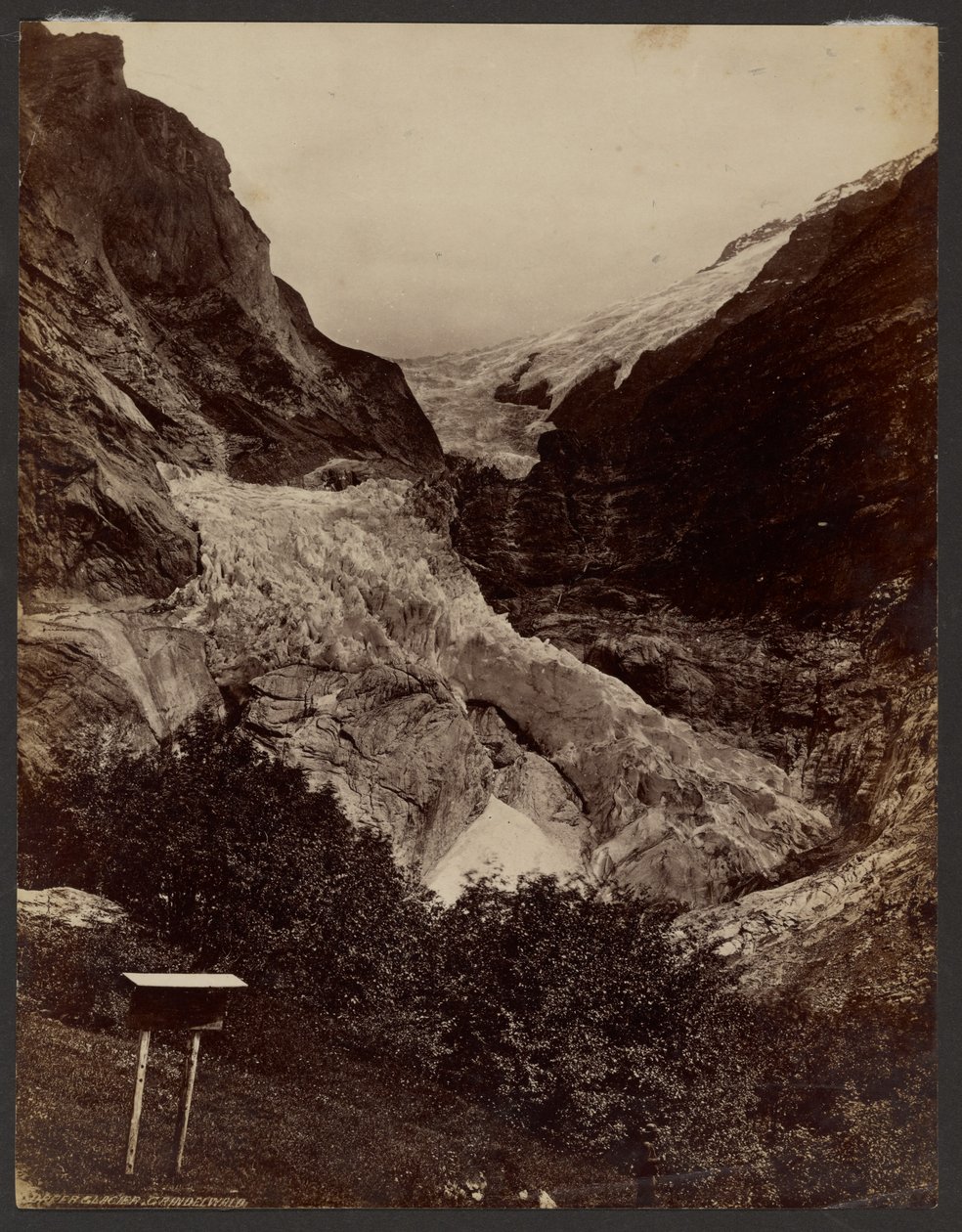 Glacier supérieur de Grindelwald - Francis Frith